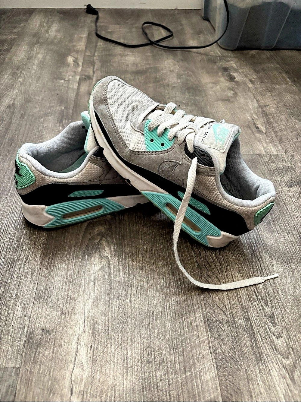 Nike Air Max 90 Shoes